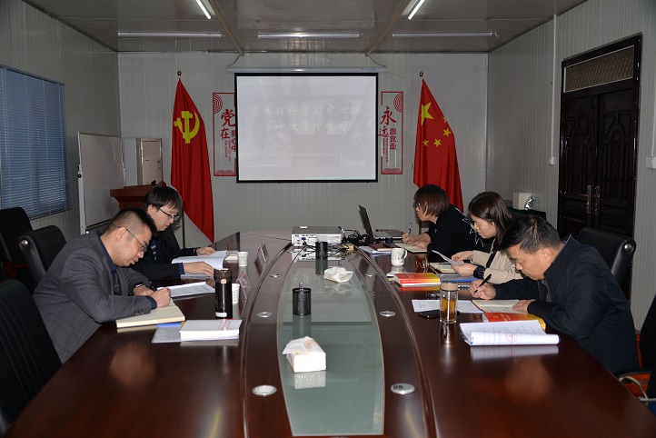 集团公司党委委员、副总经理董琪 旁听指导纺器所公司党委理论学习中心组会议